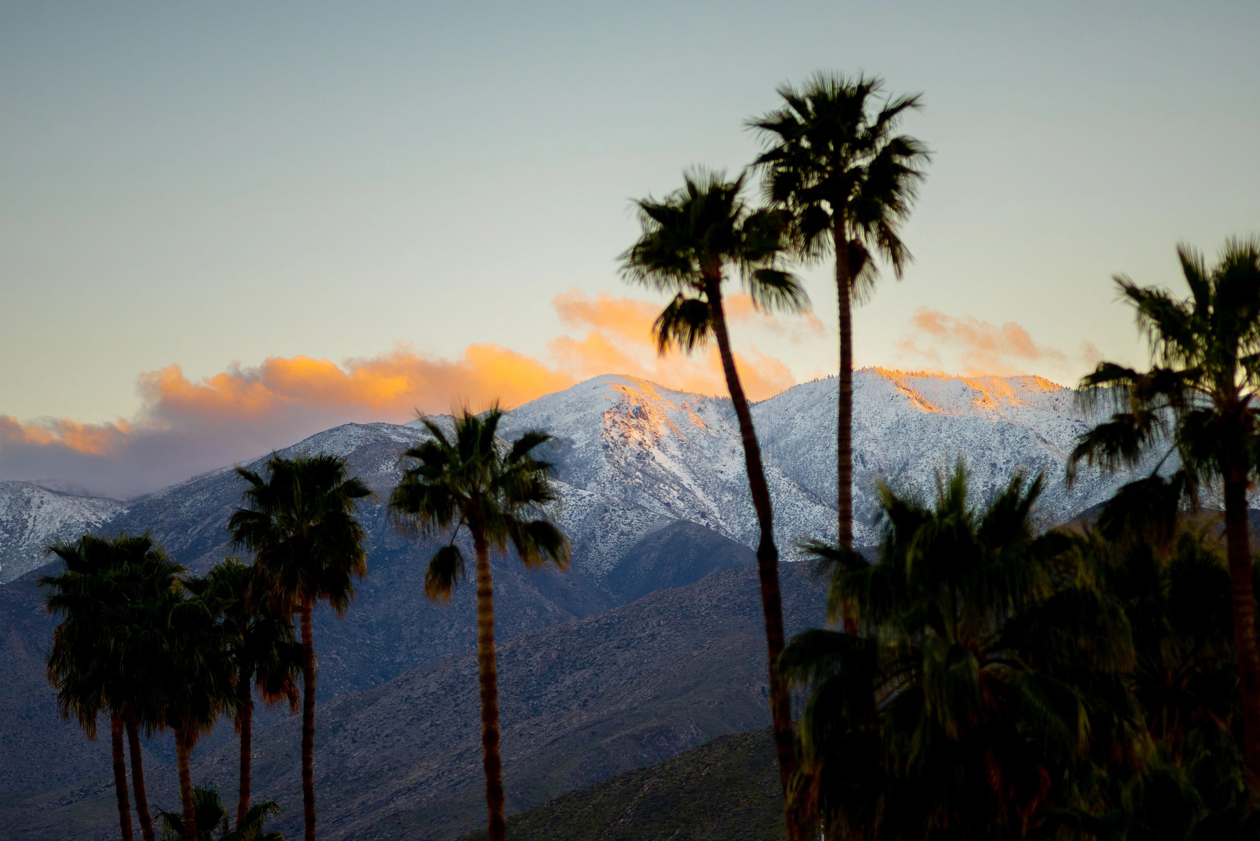 Southern California outdoor living atmosphere